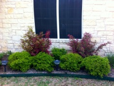 2012-03-30-6607 Conifer Cove-46.jpg